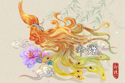 择吉老黄历皇历 开业择吉日 择吉皇历